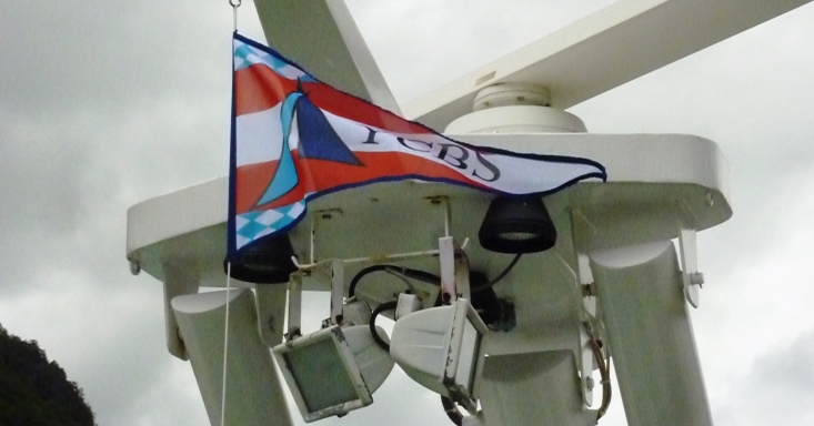 don13-045-yc-flagge